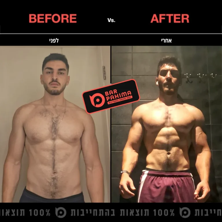 טל שול